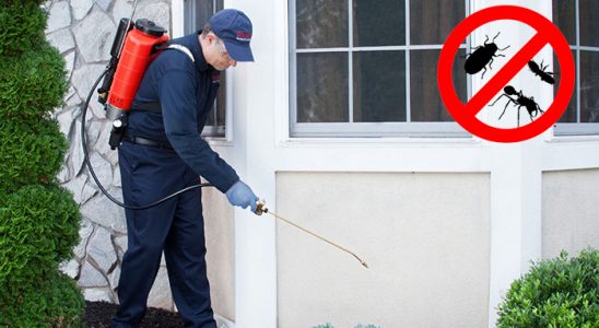 Buca Koop Sivrisinek İlaçlama böcek ilaçlama ve haşere kontrolü — ilaclama-tr.com